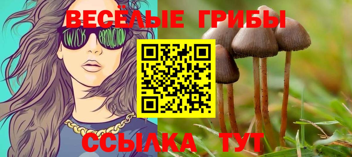 Псилоцибиновые грибы Psilocybine cubensis  Галлюциногенные грибы Psilocybine cubensis  закладки  Вход с VPN  Шали 