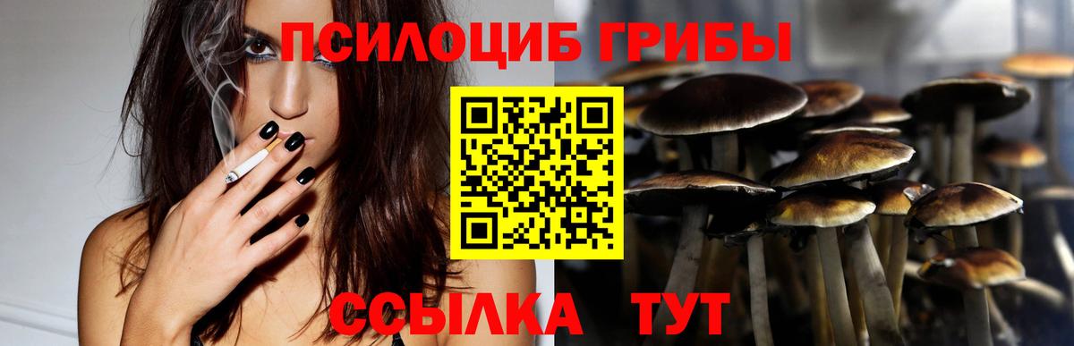 Галлюциногенные грибы ЛСД Шали